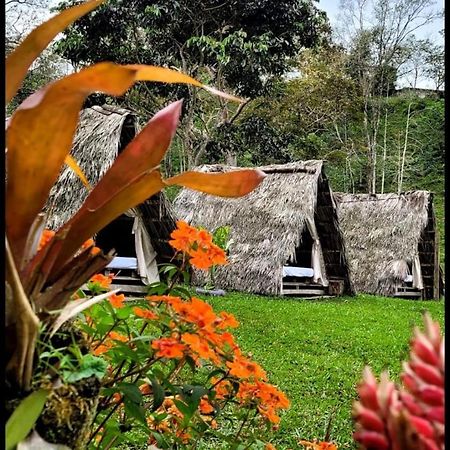Rancho Porvenir Bed and Breakfast Mocoa Buitenkant foto