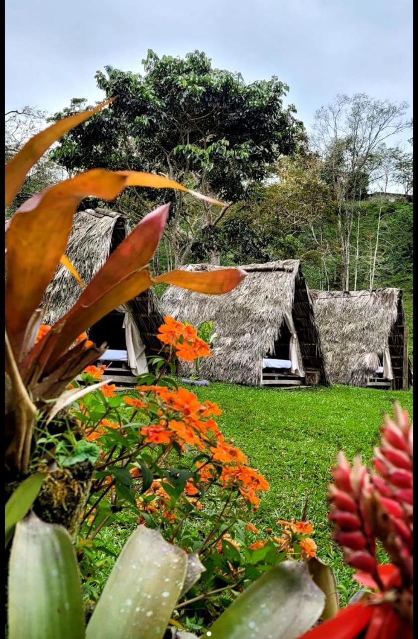 Rancho Porvenir Bed and Breakfast Mocoa Buitenkant foto